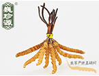 x(chng)Ĳ2.2l/ ڲ x؛r(ji)286Ԫ/